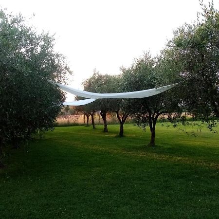 كامايوري Vecchio Casale Margherita المظهر الخارجي الصورة