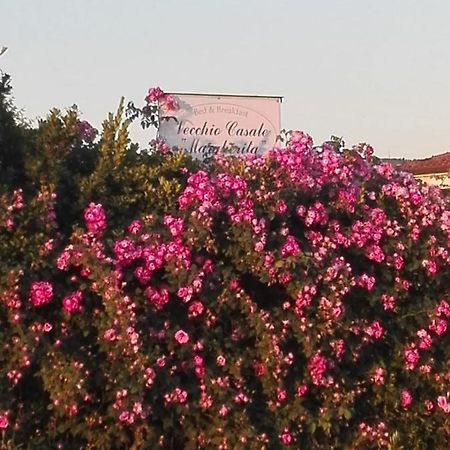كامايوري Vecchio Casale Margherita المظهر الخارجي الصورة