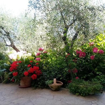 كامايوري Vecchio Casale Margherita المظهر الخارجي الصورة