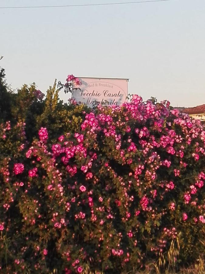 كامايوري Vecchio Casale Margherita المظهر الخارجي الصورة